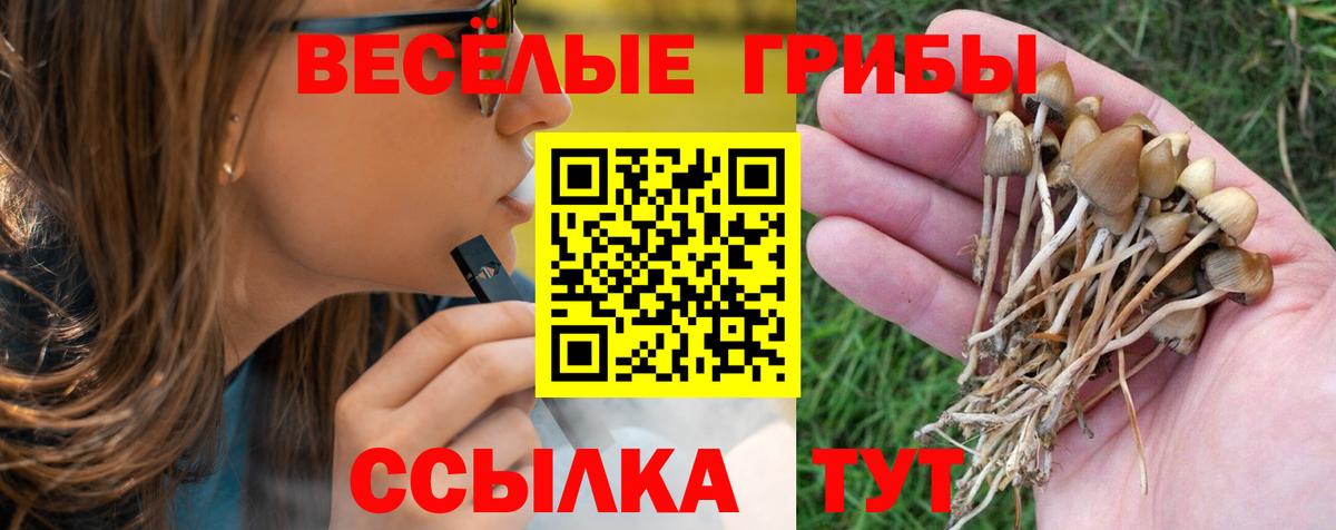 Псилоцибиновые грибы мицелий  Вход с VPN  Октябрьский 